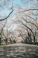 九游棋牌手机版下载-九游棋牌手机版，移动时代的便捷娱乐新选择